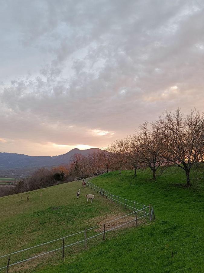 Le Perchoir Du Vercors - Panorama Sur Les Cimes Saint-André-en-Royans Exteriér fotografie